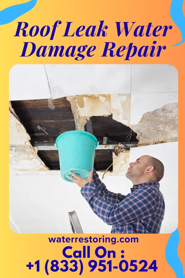 Roof Leak Water Damage Repair in Oak Ridge, NC